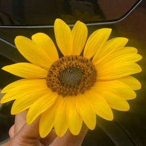 Meet your Posher, Deanna